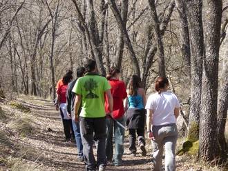 Un grupo de voluntarios trabajan para limpiar el bosque de Valdenazar de ailanto