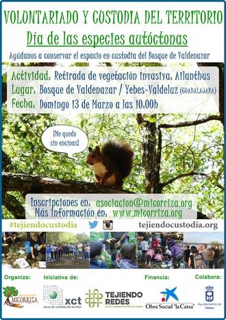 La vegetación invasora tiene los días contados en el Bosque de Valdenazar en Yebes Valdeluz