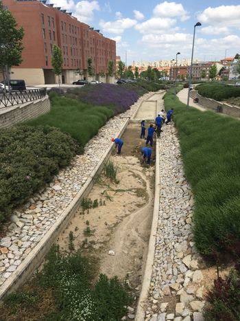 El Ayuntamiento lleva a cabo la limpieza de la lámina del agua de la avenida Juan Pablo II