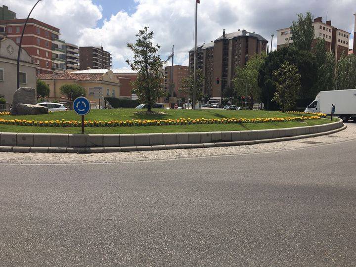 25.646 flores de primavera adornan ya diferentes espacios de la capital