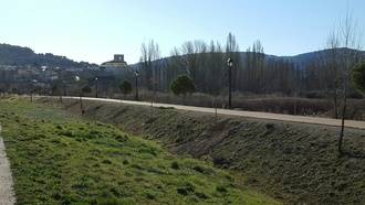 Pareja planta un centenar de árboles ornamentales en diferentes espacios públicos de la villa