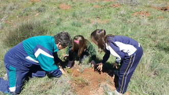 El Día del Árbol seguntino ha tenido carácter didáctico, desarrollado en varias jornadas con los centros escolares