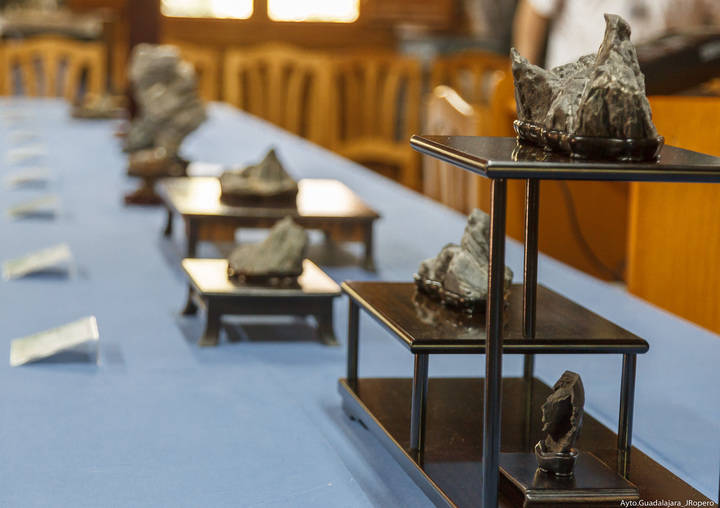 El recinto del Zoo acoge hasta el domingo una preciosa exposición de bonsais y suisekis