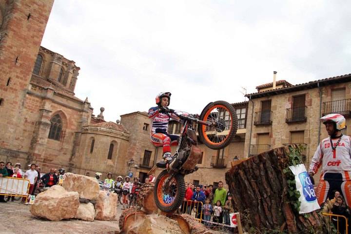 Bou vuelve a reinar en Sigüenza