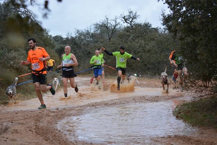 Intensa actividad durante el fin de semana de los Circuitos Provinciales de Diputación
