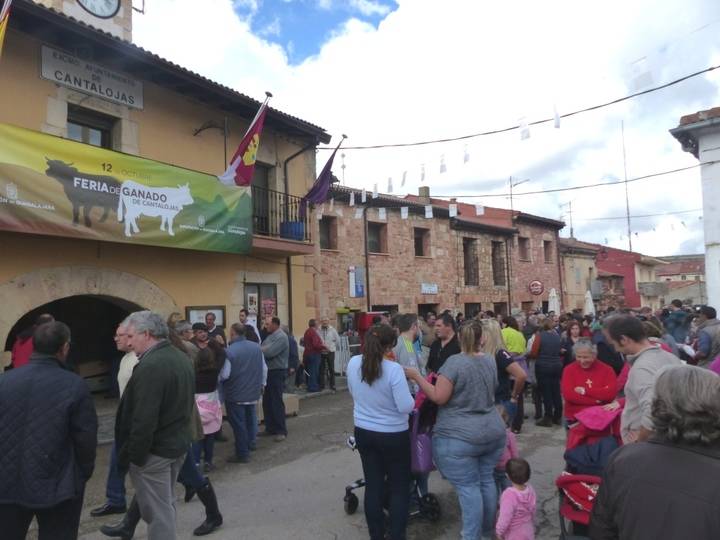 La Diputación convoca ayudas para ferias y exposiciones de carácter agropecuario y silvícola en apoyo del medio rural