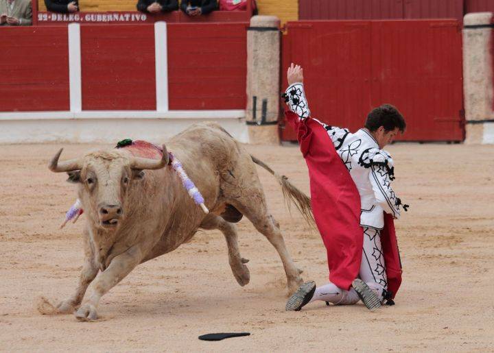Foto : www.eduardobonillaruiz.com