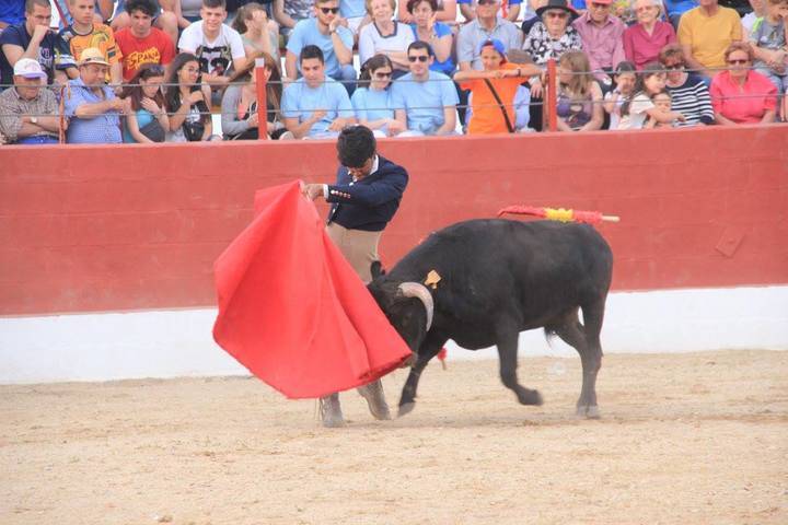 Lleno hasta la bandera en el coso de Fuentenovilla para presenciar el primer festejo de 'Guadalajara busca Torero'