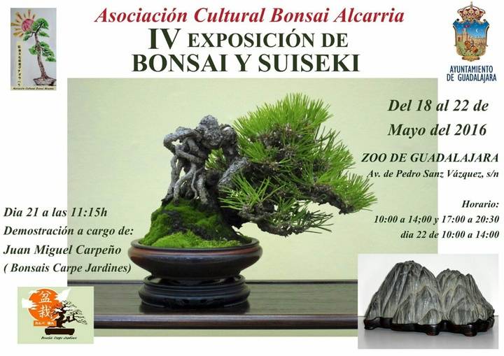 Guadalajara volverá a llenarse de bonsáis y suisekis