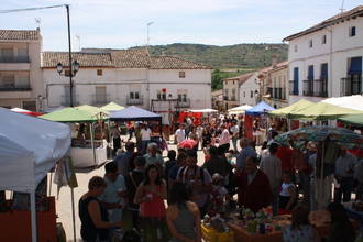 Aranzueque se prepara para las X Jornadas Gastronómicas del Espárrago