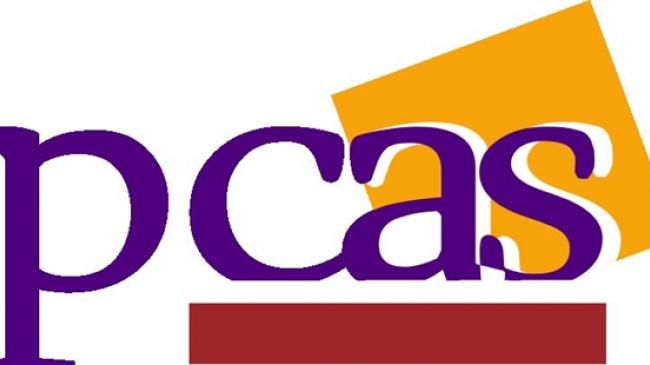 El Partido Castellano no se presentará a las elecciones generales del 26J