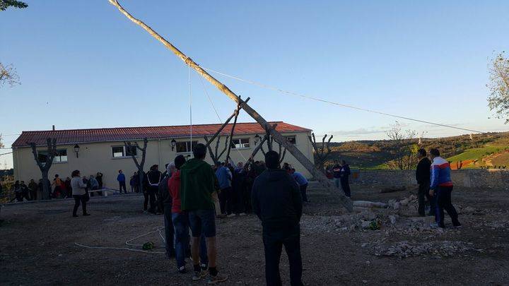 El mayo de Fuentenovilla compite en estatura con la Torre de la Iglesia