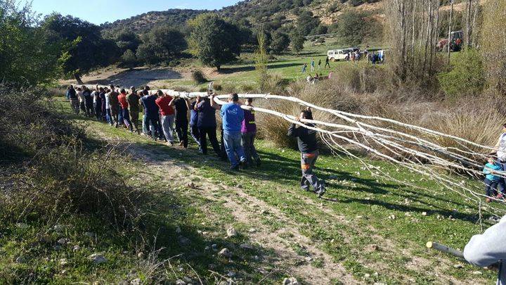 El mayo de Fuentenovilla compite en estatura con la Torre de la Iglesia