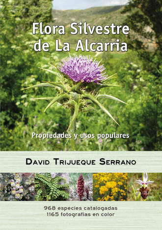 Presentado el libro "Flora Silvestre de la Alcarria. Propiedades y usos populares"
