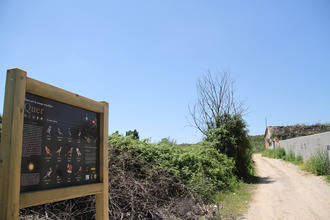 Este sábado se inaugura la Ruta Ornitológica de Quer