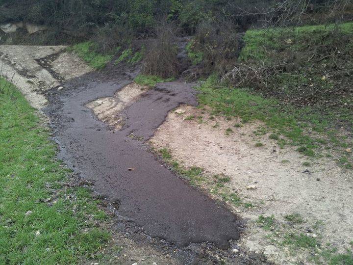 Ecologistas en Acción denuncia el estado lamentablede una explotación ganadera en Peñalver