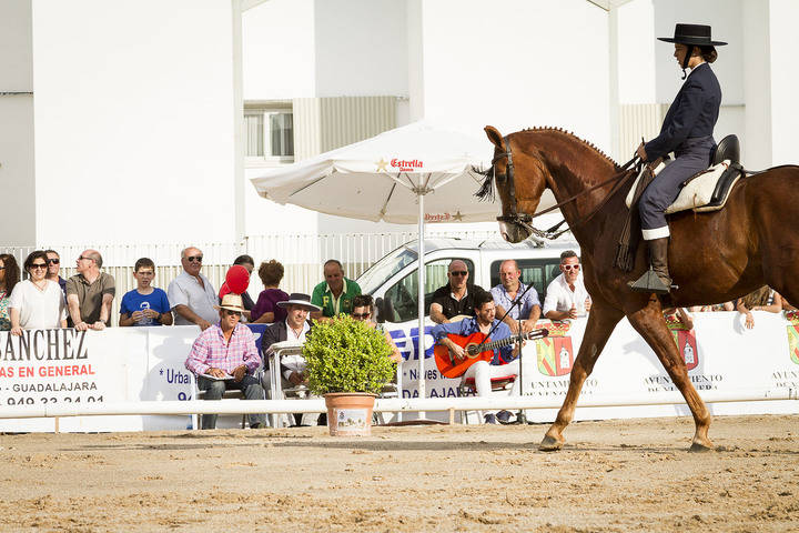 Ecualtur Yunquera 2016 acogerá el I Concurso Nacional de Doma Vaquera