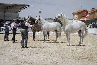 Ecualtur Yunquera cierra su séptima edición con récord de visitantes