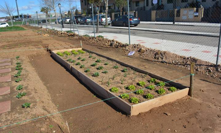 Los alumnos de la Escuela Agroecológica de Alovera dispondrán de sus huertos durante un año