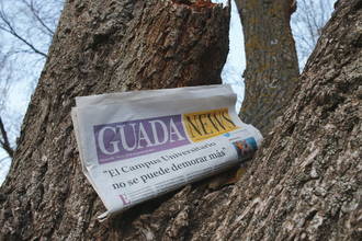 El sol brillará este viernes en Guadalajara llegando el mercurio a los 26ºC