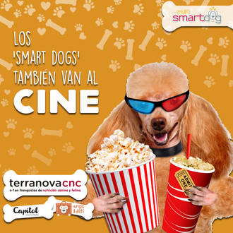 Una empresa de Guadalajara hace que se pueda ir al cine con perros en Madrid