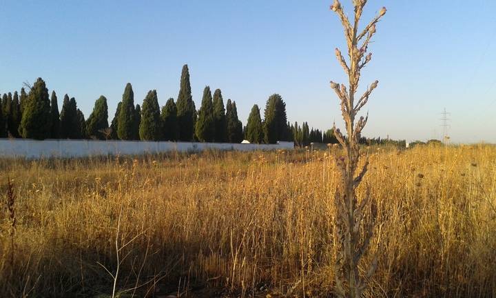 El PP de Azuqueca denuncia los perjuicios a los vecinos que está ocasionando el engaño del tanatorio municipal