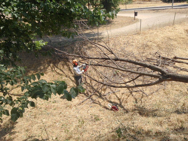 El Ayuntamiento de Cabanillas ejecuta la limpieza del cauce de los arroyos del municipio, ante la inacción de la CHT