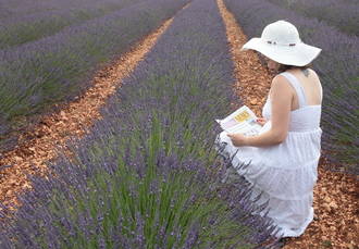 Guadalajara en alerta amarilla por temperaturas extremas tendrá un miércoles soleado con el mercurio por encima de los 37ºC
