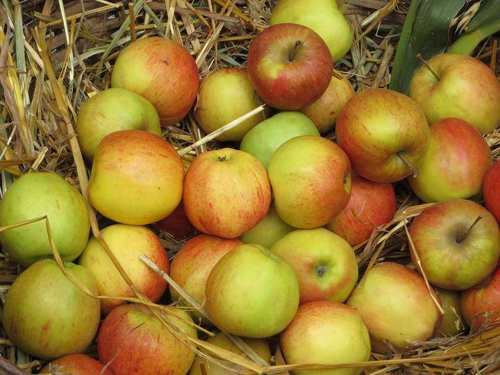 Isover Azuqueca inicia una campaña de hábitos saludables y solidarios entre sus trabajadores