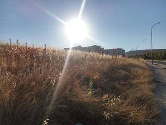 Ciudadanos Guadalajara insiste en la necesidad de la limpieza de solares
