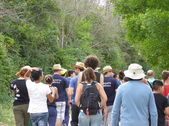 Una semana de trabajo recuperando un antiguo chozón sabinero en la Parque Natural del Alto Tajo