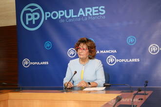 Riolobos denuncia que Page ocultó información y puso en riesgo la salud de la población de Seseña