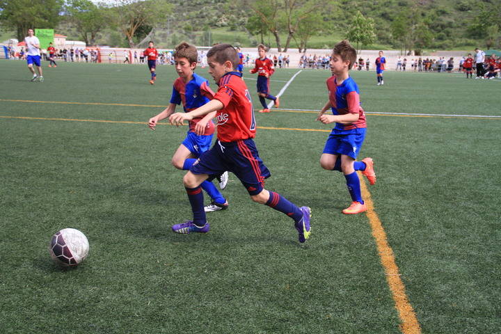 CD San Roque (benjamín) y Real Valladolid (alevín) vencen en la III Edición de la Sigüenza Cup