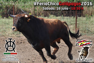 Galápagos celebrará este fin de semana su IV Feria Chica