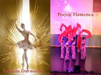 Danza de diferentes estilos los días 17 y 18 de junio en el TABV