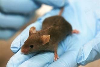 El Hospital de Parapl&#233;jicos participa en un estudio que logra frenar la esclerosis m&#250;ltiple experimental en ratones