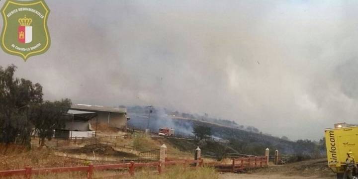 Fotos: Agentes forestales CLM