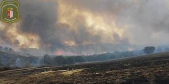Extinguido el fuego que ha arrasado unas 350 hectáreas en Uceda