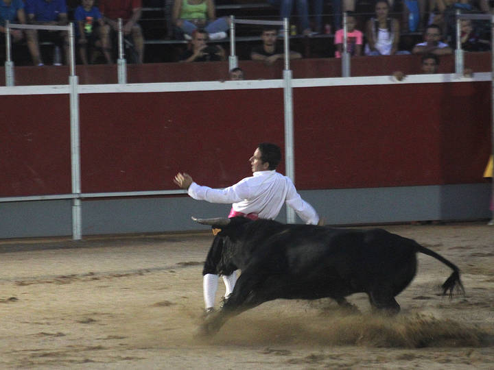 Recortadores, “disco-vaca” y un encierro conformarán el capítulo taurino de las fiestas de Cabanillas