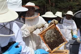 Próxima visita a uno de los colmenares de polinización que la Fundación Amigos de las Abejas tiene situado en el Parque Natural del Alto Tajo