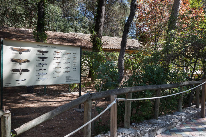 Restaurado el panel de rapaces ibéricas diurnas del Zoo de Guadalajara