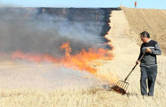 UPA consigue un compromiso para la quema controlada de rastrojos en Guadalajara