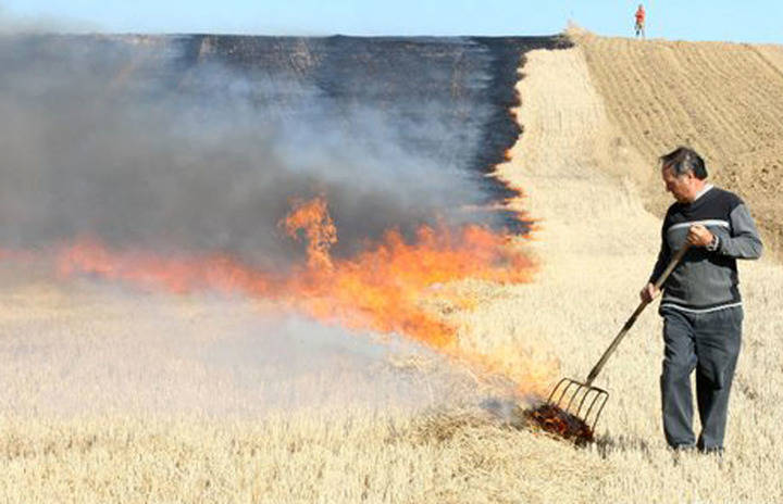 UPA consigue un compromiso para la quema controlada de rastrojos en Guadalajara