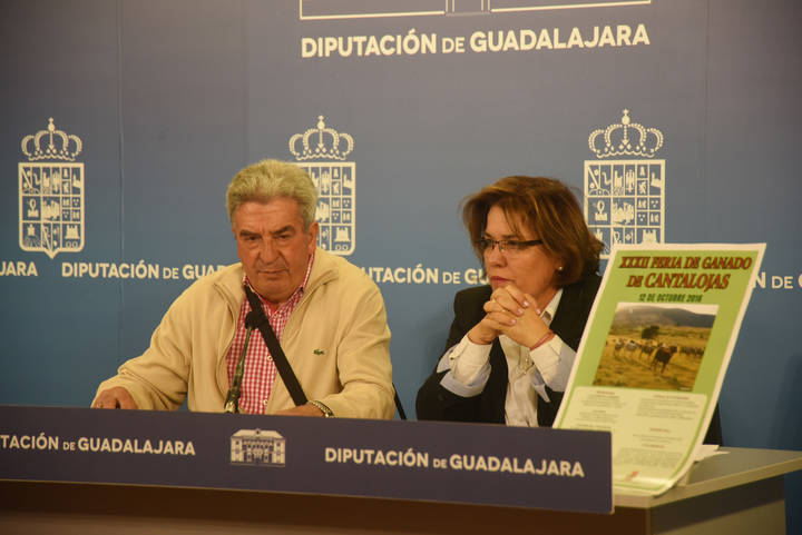 Cantalojas celebra su tradicional Feria de Ganado el día del Pilar