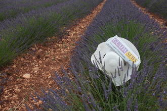 Sigue el calor, con los termómetros llegando a los 37ºC, este domingo en Guadalajara