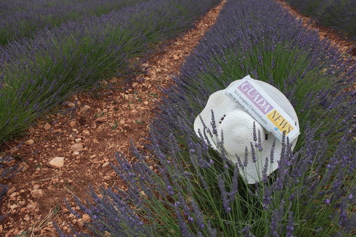 Sigue el calor, con los termómetros llegando a los 37ºC, este domingo en Guadalajara
