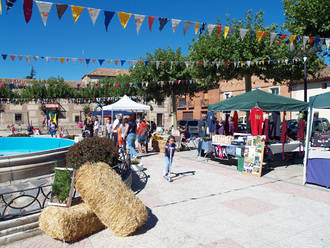 Ecotorrejón 2016 presume de éxito de crítica y público