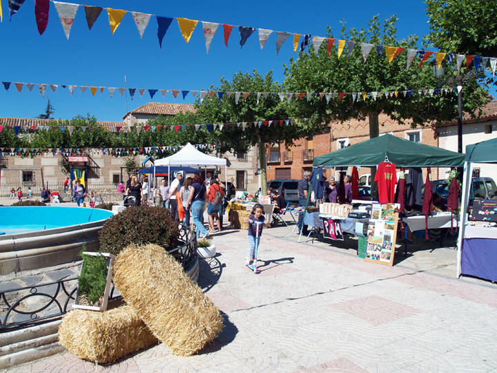 Ecotorrejón 2016 presume de éxito de crítica y público