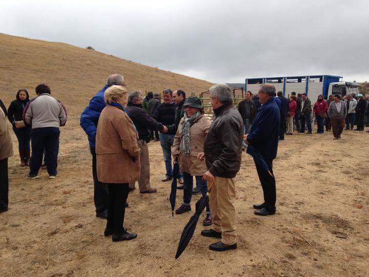 La Diputación muestra su apoyo al sector ganadero en la Feria de Cantalojas