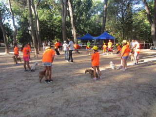 El Club Canicross comienza la temporada con muchas actividades